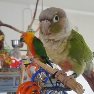 Meet your Posher, Kacie